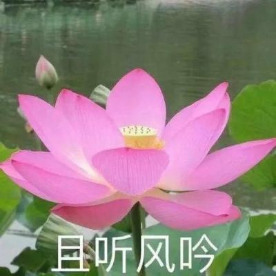 【境内疫情观察】广东新增117例境外输入病例（3月3日）
